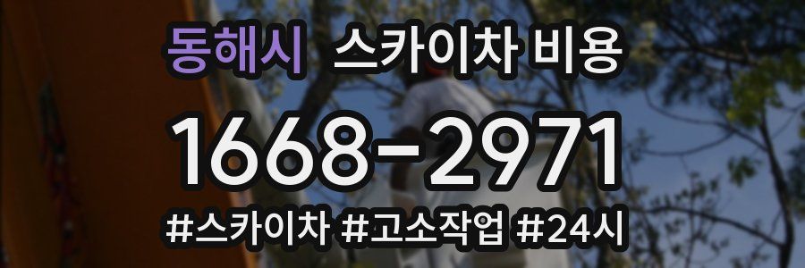 동해시 스카이차 비용