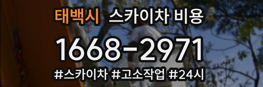 태백시 스카이차 비용