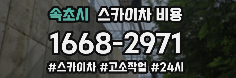 속초시 스카이차 비용