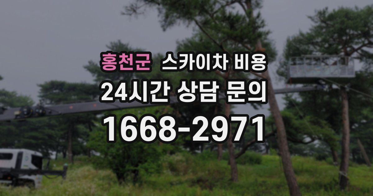 홍천군 스카이차 비용