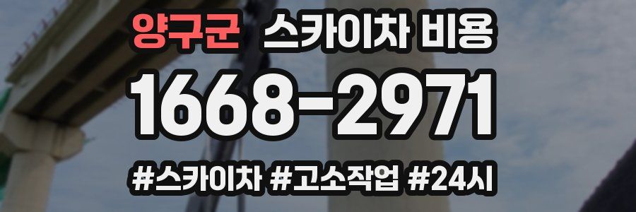 양구군 스카이차 비용