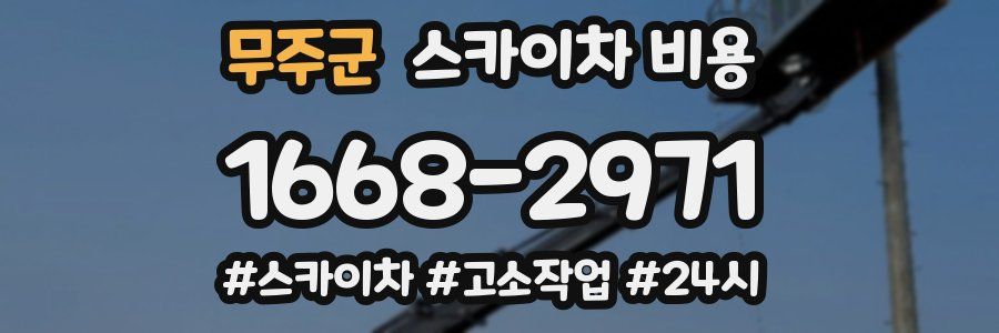 무주군 스카이차 비용