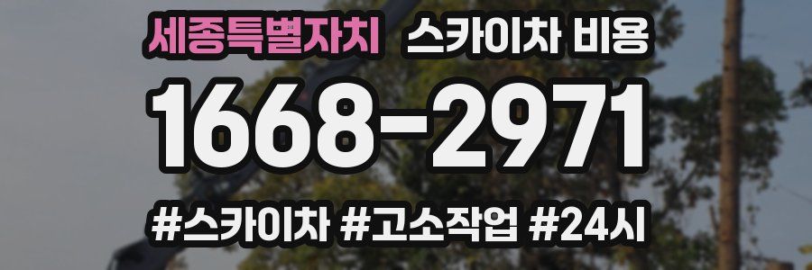 세종특별자치 스카이차 비용