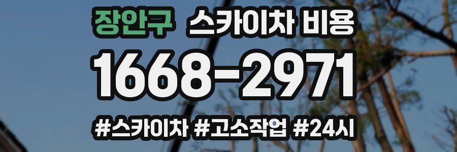 장안구 스카이차 비용