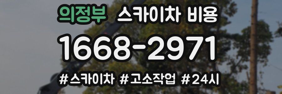 의정부 스카이차 비용