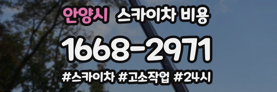 안양시 스카이차 비용