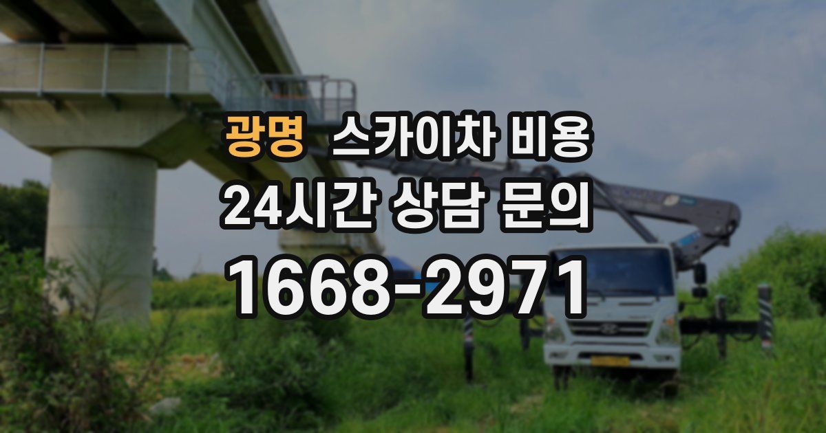 광명 스카이차 비용