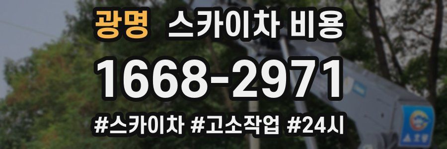 광명 스카이차 비용