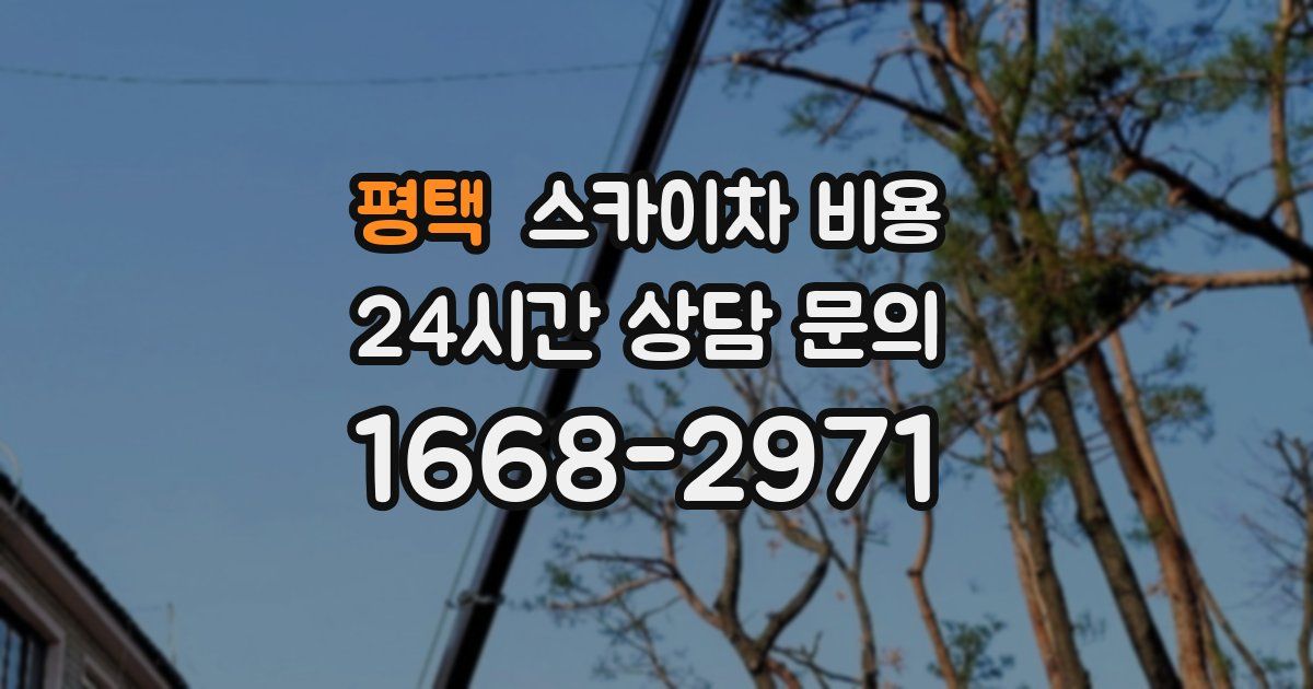 평택 스카이차 비용