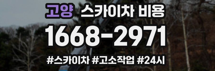 고양 스카이차 비용