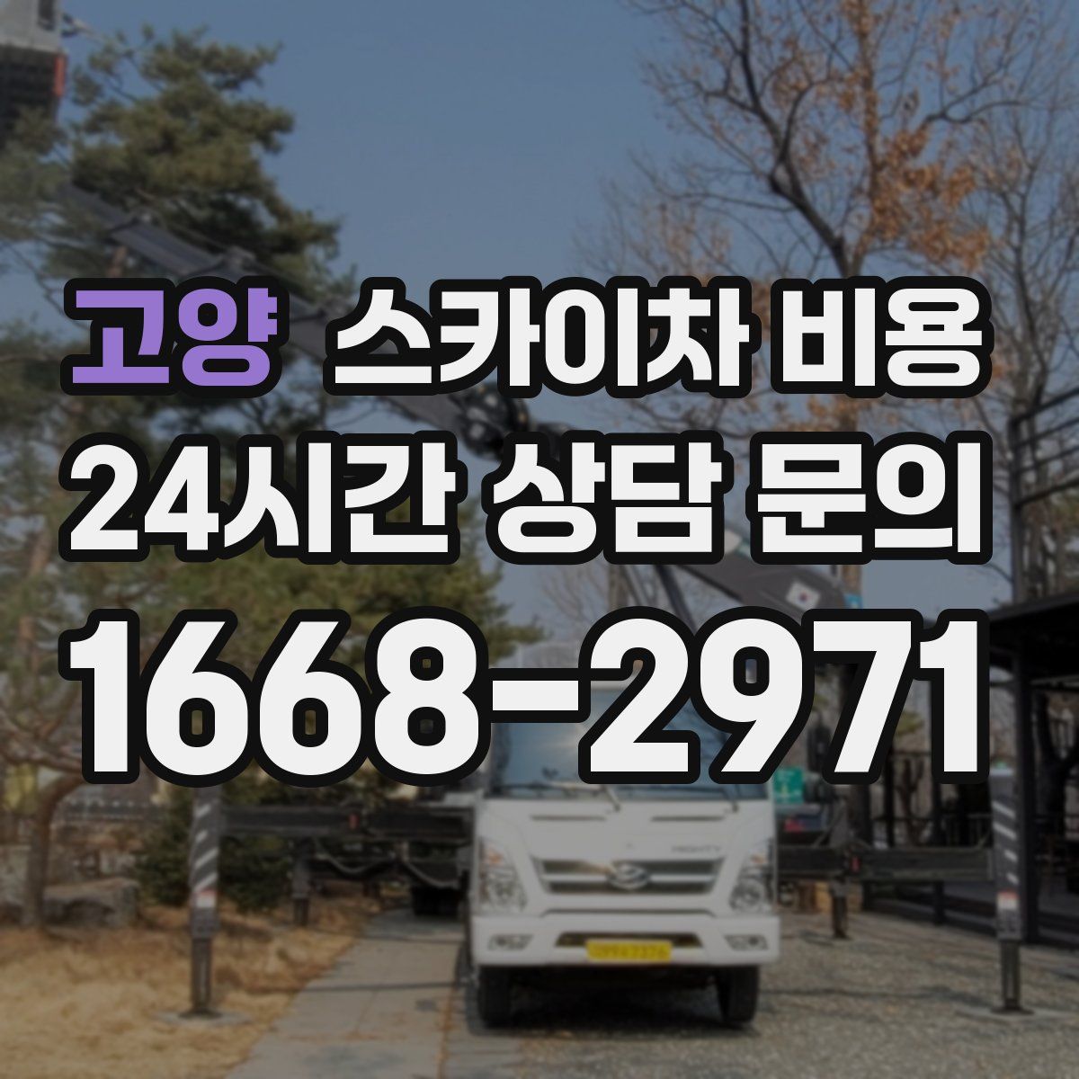 고양 스카이차 비용