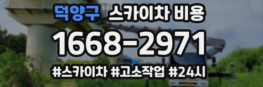 덕양구 스카이차 비용