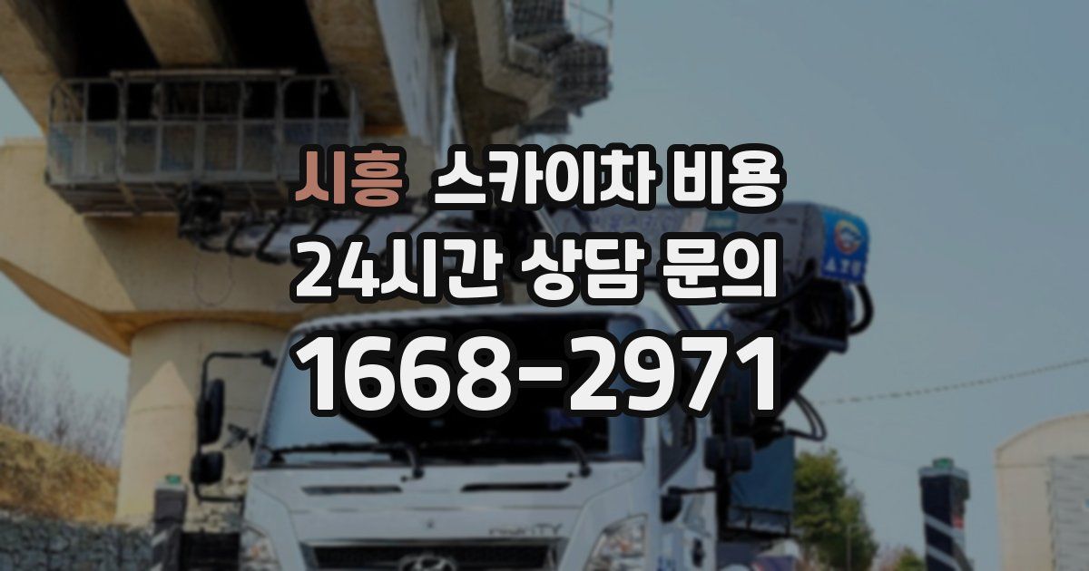 시흥 스카이차 비용