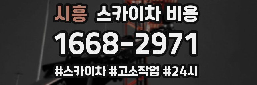 시흥 스카이차 비용