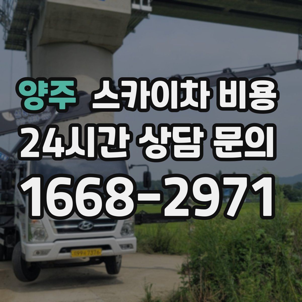 양주 스카이차 비용 수목 전정 작업에서 확인할 항목