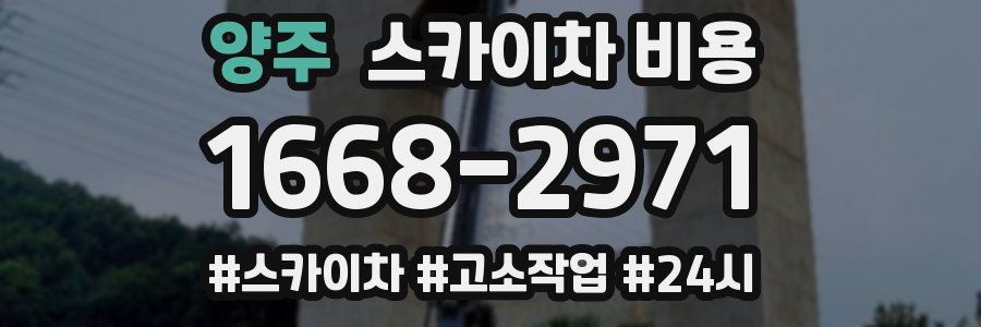 양주 스카이차 비용