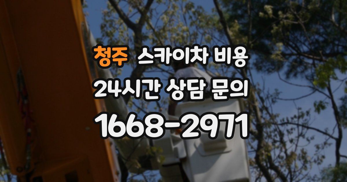 청주 스카이차 비용