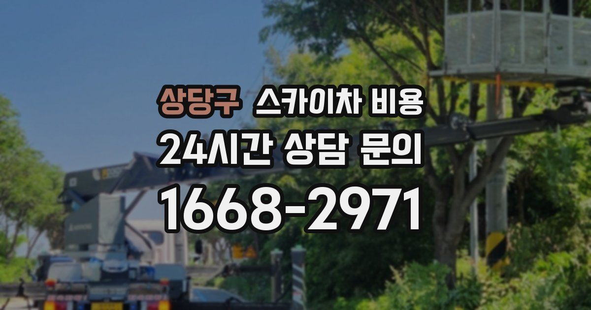 상당구 스카이차 비용