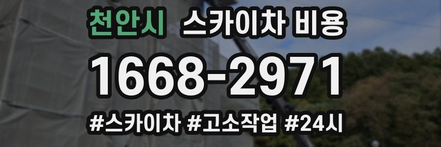 천안시 스카이차 비용