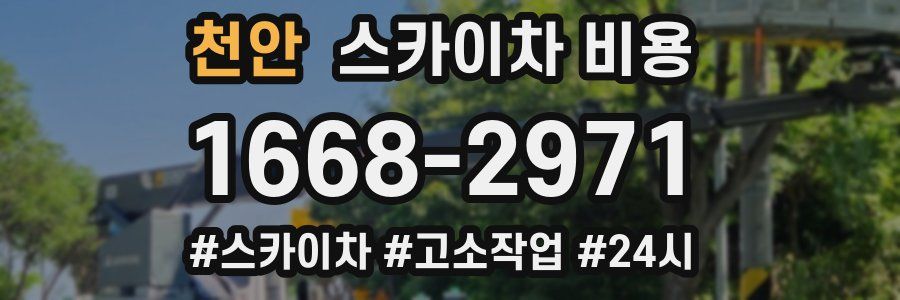 천안 스카이차 비용