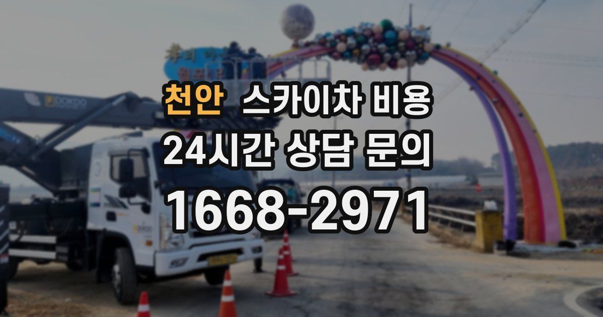 천안 스카이차 비용