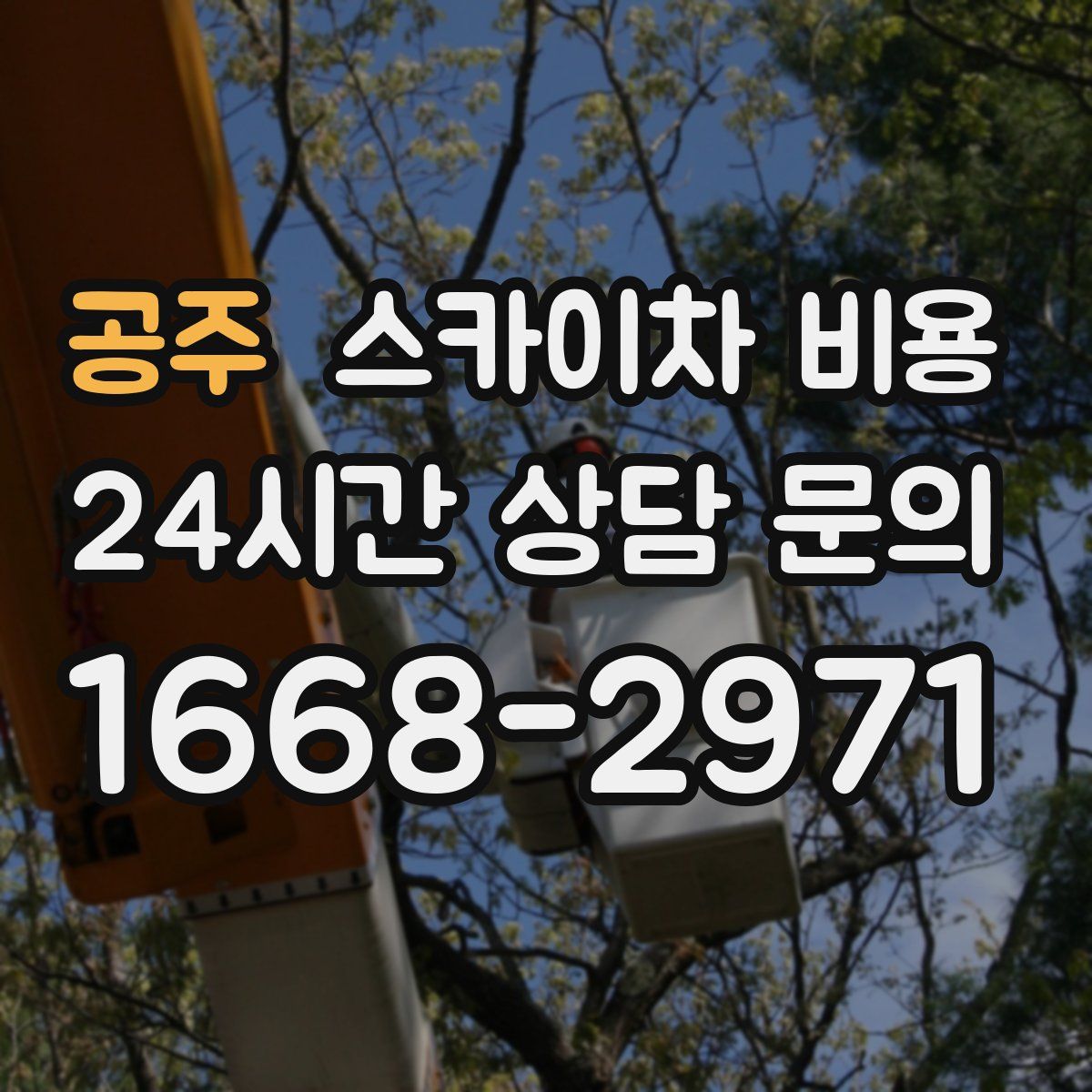 공주 스카이차 비용