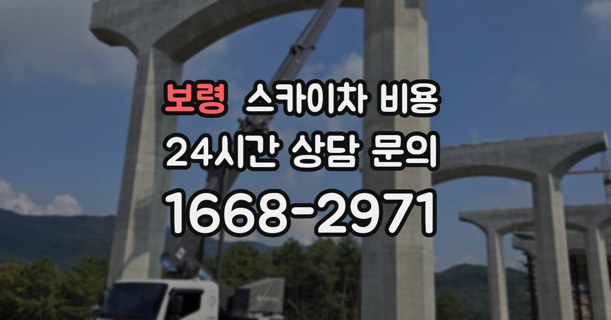 보령 스카이차 비용