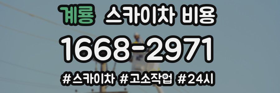 계룡 스카이차 비용