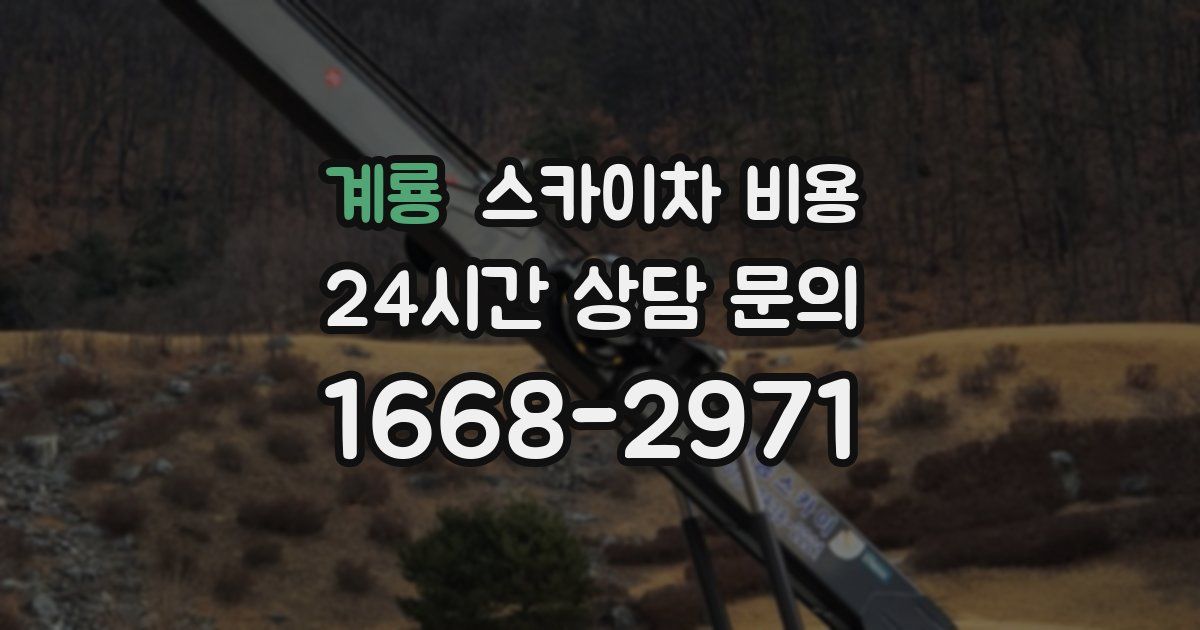 계룡 스카이차 비용