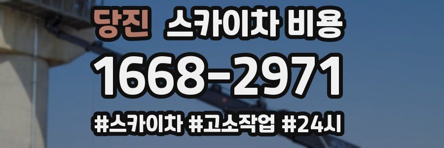 당진 스카이차 비용