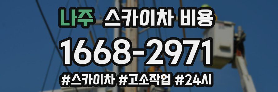 나주 스카이차 비용