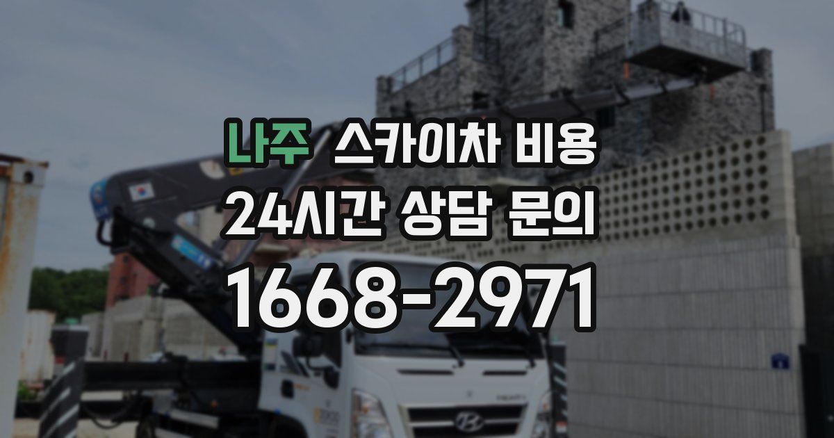 나주 스카이차 비용