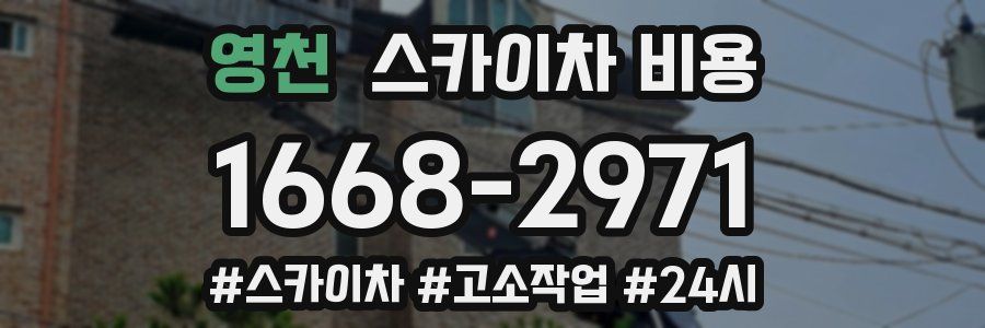 영천 스카이차 비용