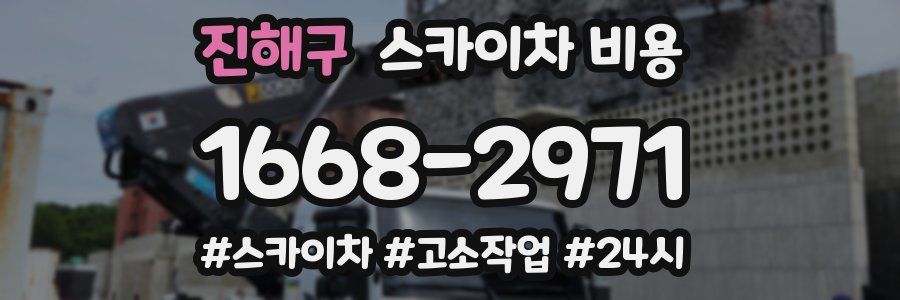 진해구 스카이차 비용