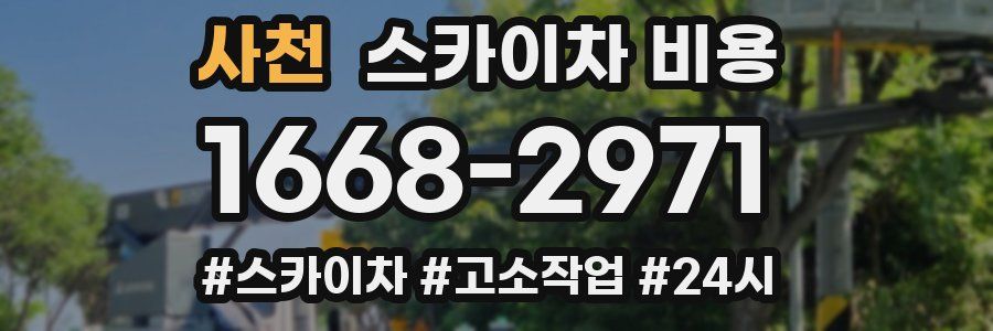 사천 스카이차 비용