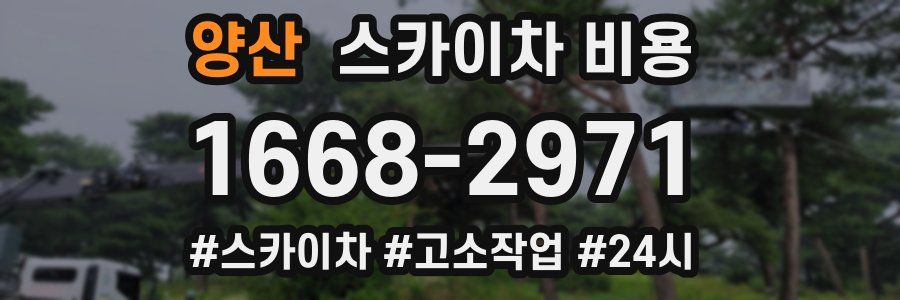 양산 스카이차 비용