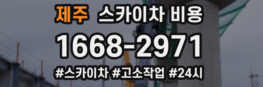 제주 스카이차 비용