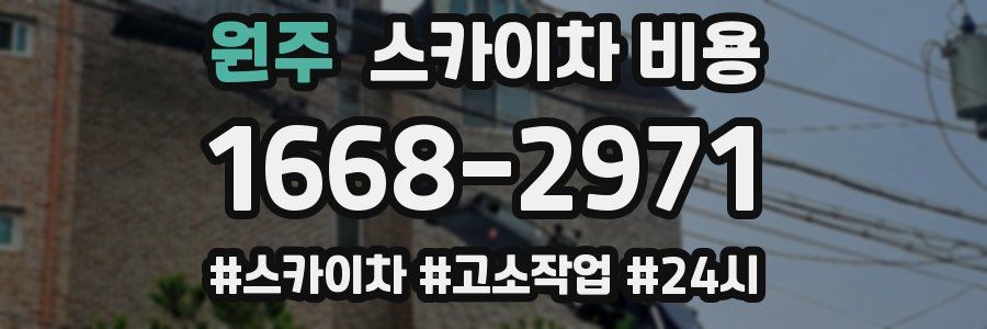 원주 스카이차 비용