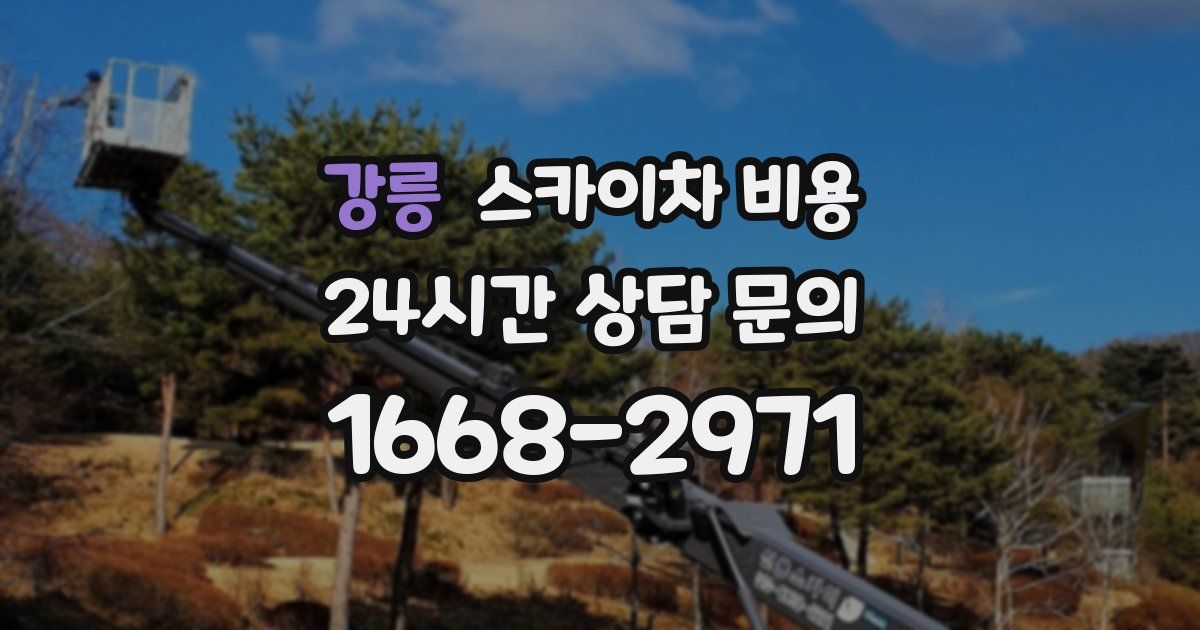 강릉 스카이차 비용