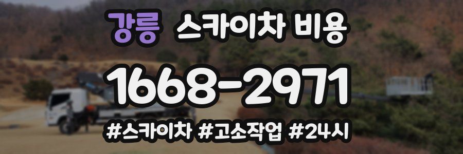 강릉 스카이차 비용