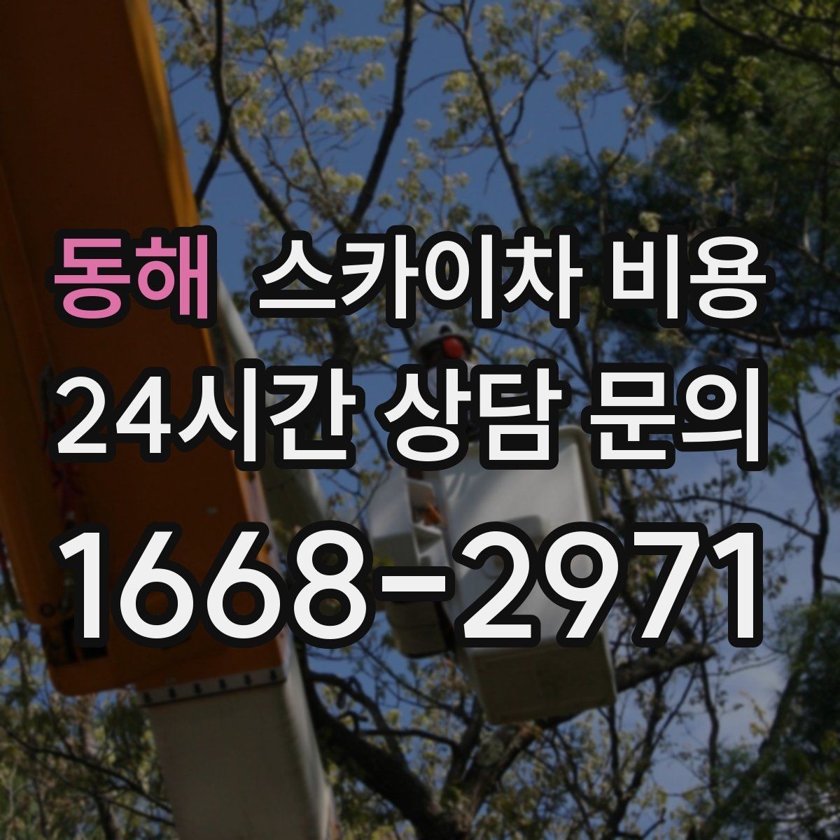 동해 스카이차 비용 현장 도착 후 추가를 막는 사전 안내법