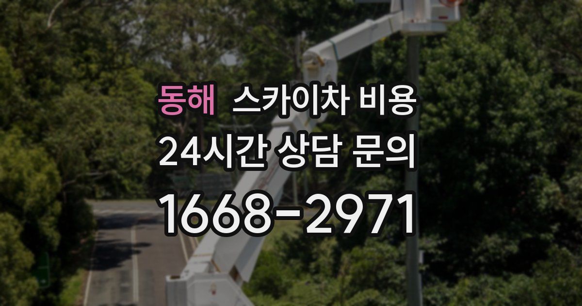 동해 스카이차 비용