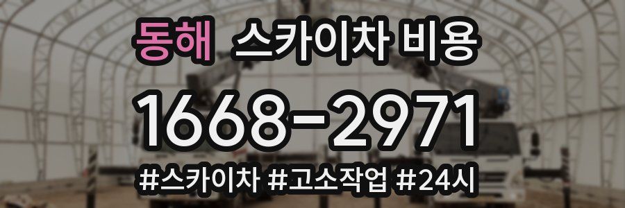 동해 스카이차 비용