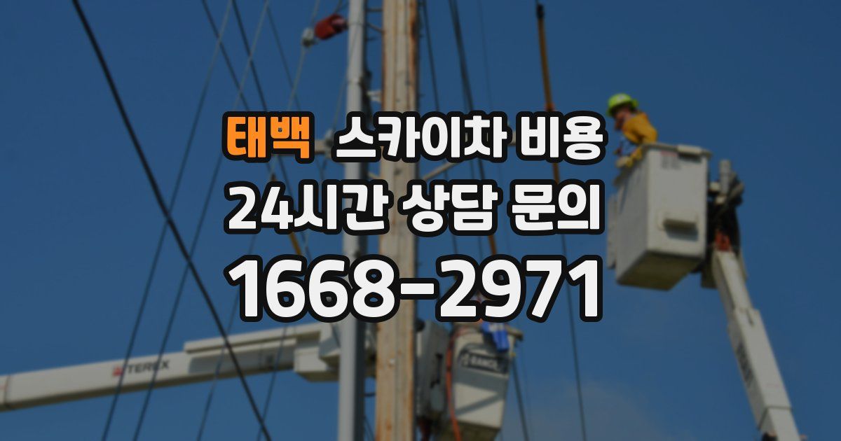 태백 스카이차 비용