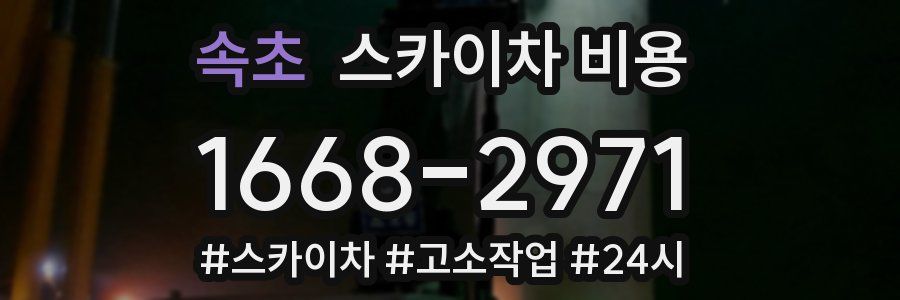 속초 스카이차 비용