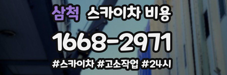 삼척 스카이차 비용