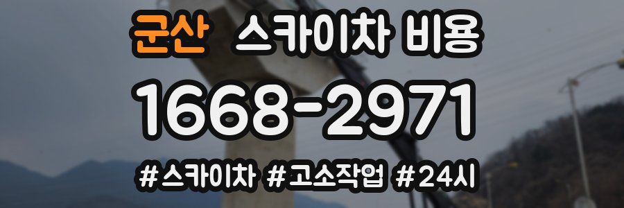 군산 스카이차 비용