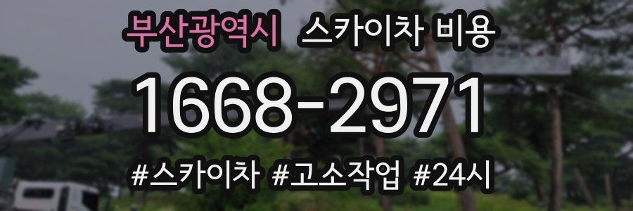 부산광역시 스카이차 비용