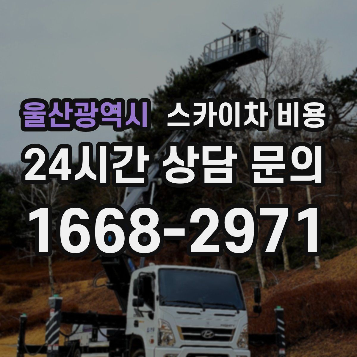 울산광역시 스카이차 비용