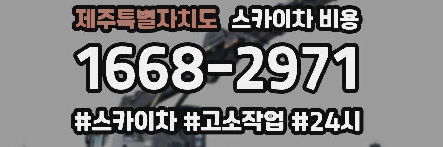 제주특별자치도 스카이차 비용